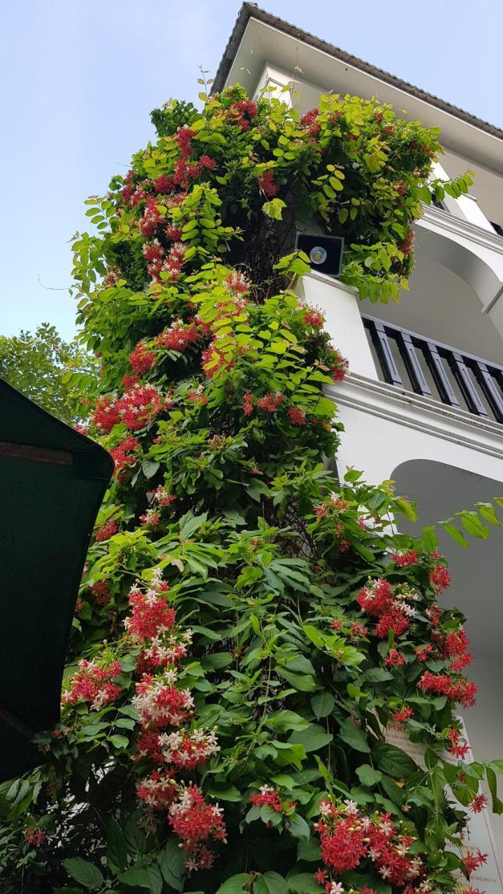 Hoi An Osaka Boutique Villa Exterior photo